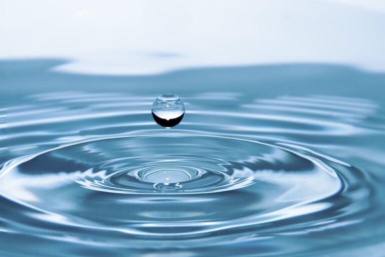 Méga-bassines et partage de l&rsquo;eau