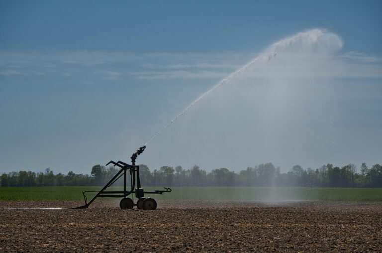 Méga-bassine ? l&rsquo;eau s&rsquo;est évaporée